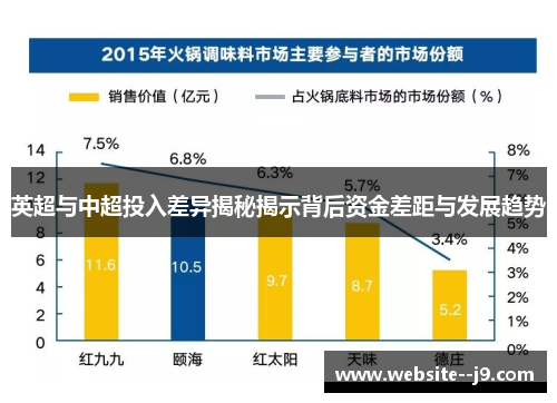 英超与中超投入差异揭秘揭示背后资金差距与发展趋势