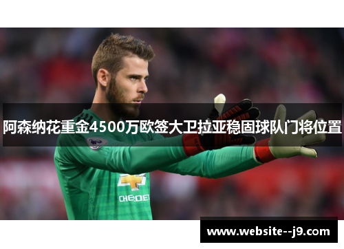 阿森纳花重金4500万欧签大卫拉亚稳固球队门将位置 阿森纳花重金4500万欧签大卫拉亚稳固球队门将位置