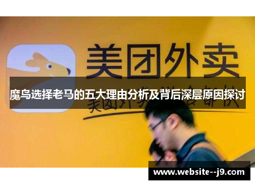 魔鸟选择老马的五大理由分析及背后深层原因探讨